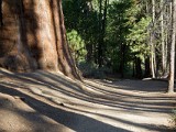 Yosemite