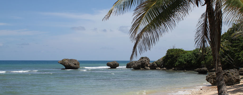 Bathsheba, Barbados