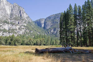 Cooks Meadow, Yosemite Valley