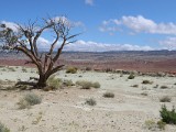 Utah
