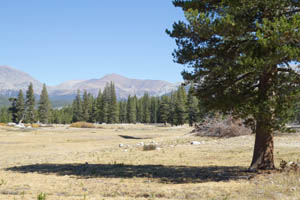 Tuolumne Meadows, Yosemite Tuolumne Meadows, Yosemite